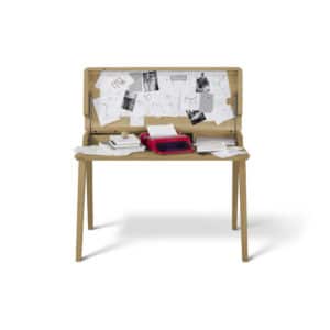 Arbeitszimmer/HomeOffice